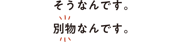 そうなんです。別物なんです。